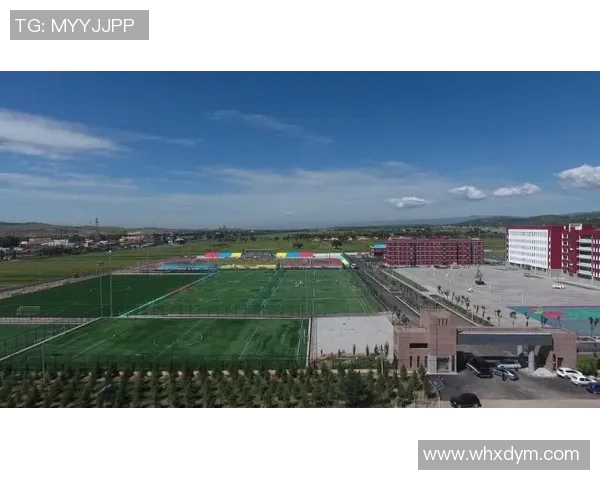 足球场小球星标识图解说解析青少年足球发展与训练核心要素